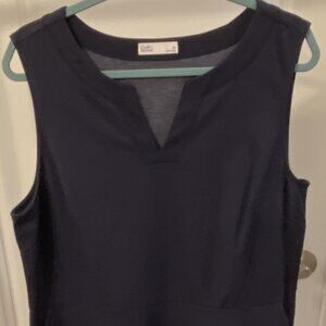 Navy Blue V-Neck Sleeveless Fit & Flare Dress